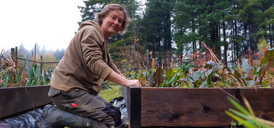 Veggie garden in raised beds using compost