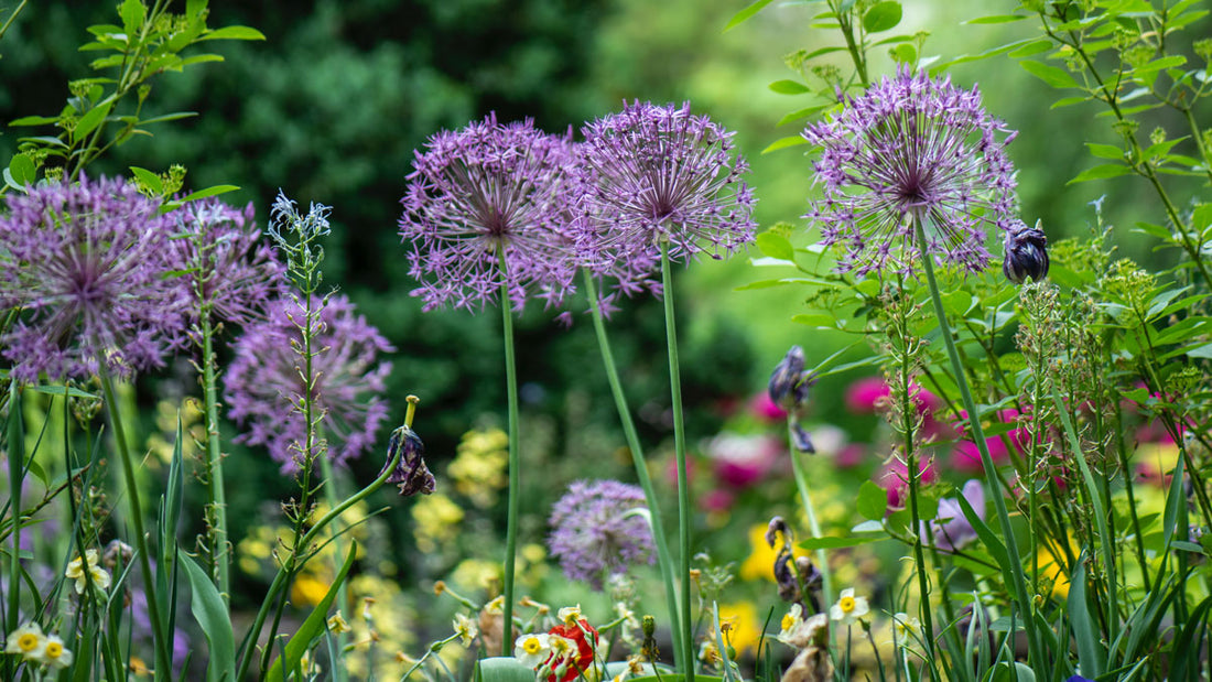 Winner of The Complete Compost Gardening Guide