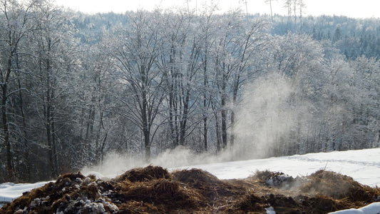 Speedibin user gets his compost to 243 degrees F!