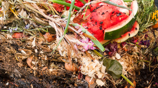 7 Most Common Asked Questions on Composting