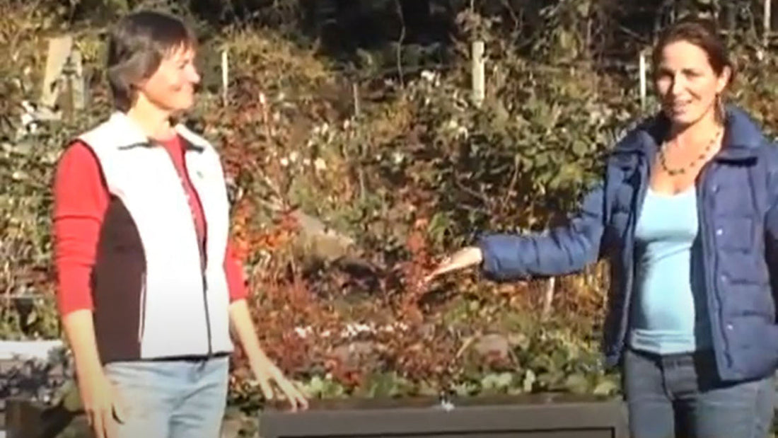 New Speedibin Video!