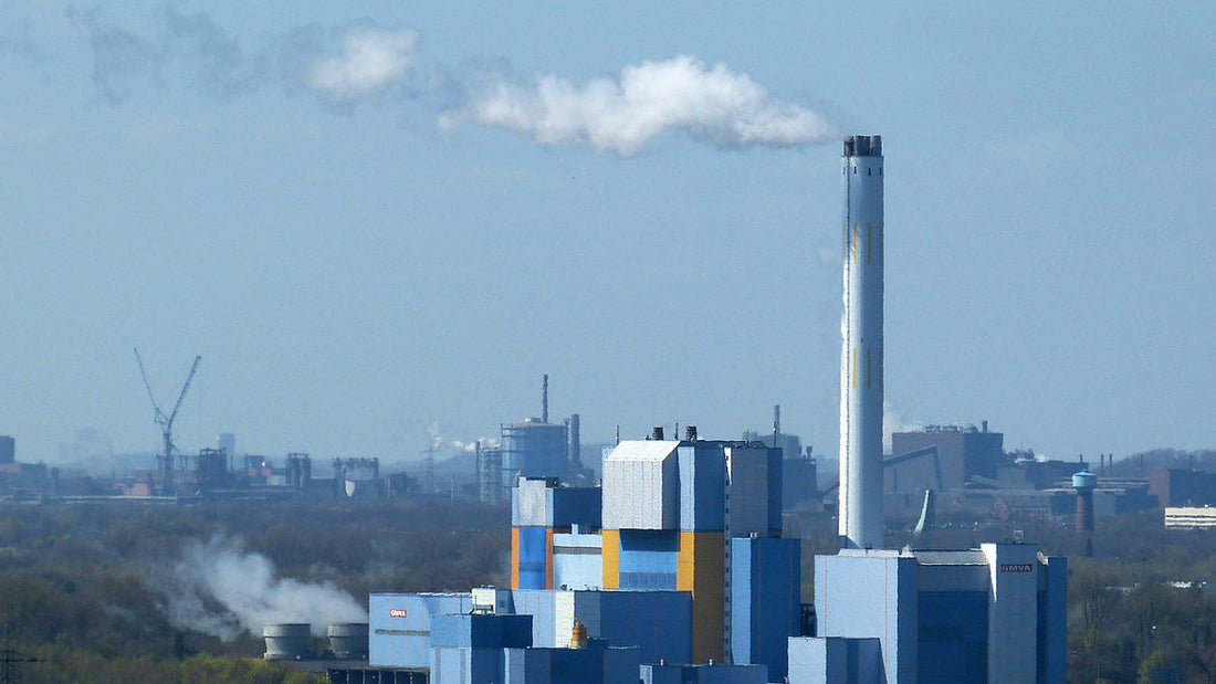 Why Burning Garbage is a Really Bad Idea!